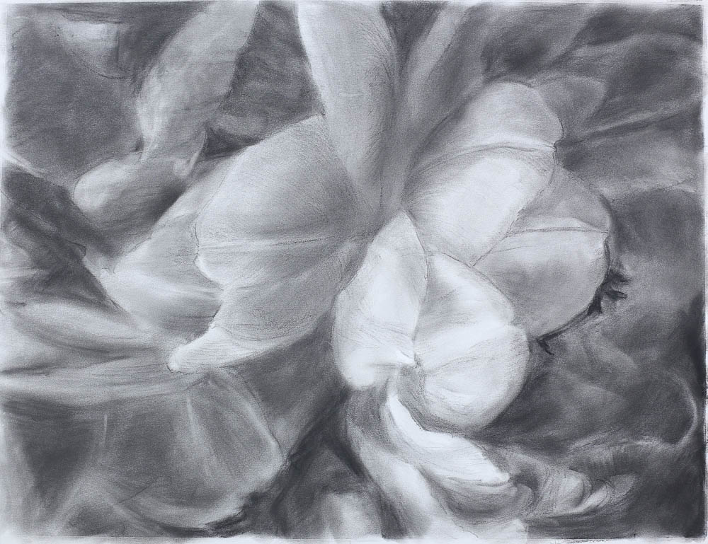 jolita_kimsa_46x62_flower1