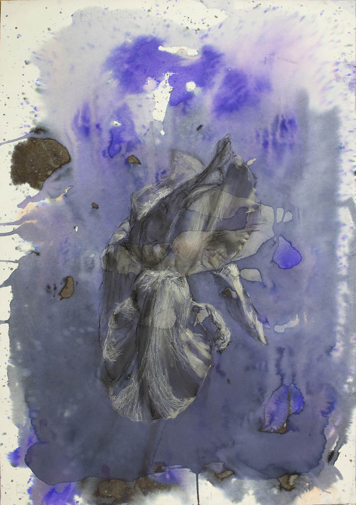 jolita_kimsa_50x71_flower4