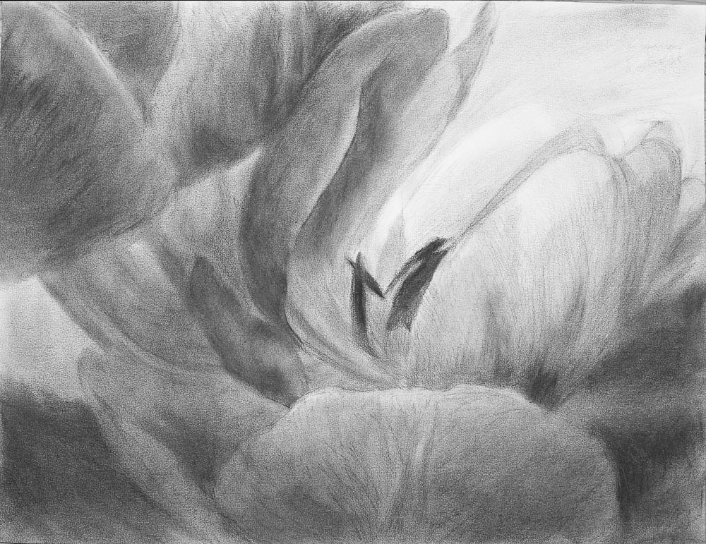 jolita_kimsa_63x48_flower11