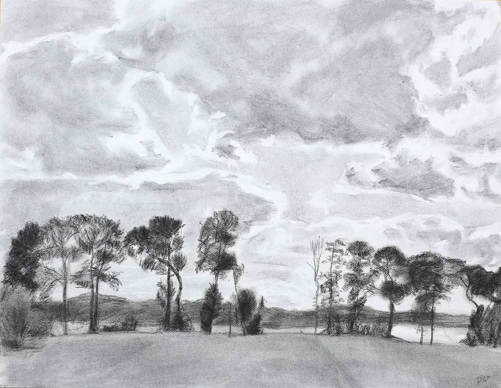 Forest #4