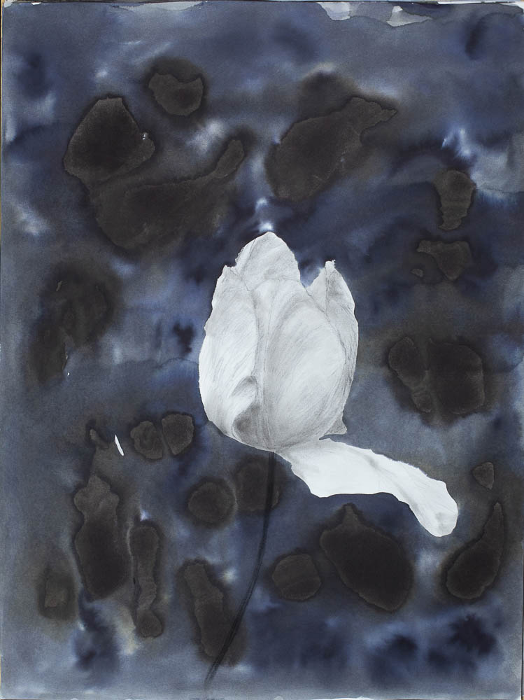 jolita_kimsa_65x50_11