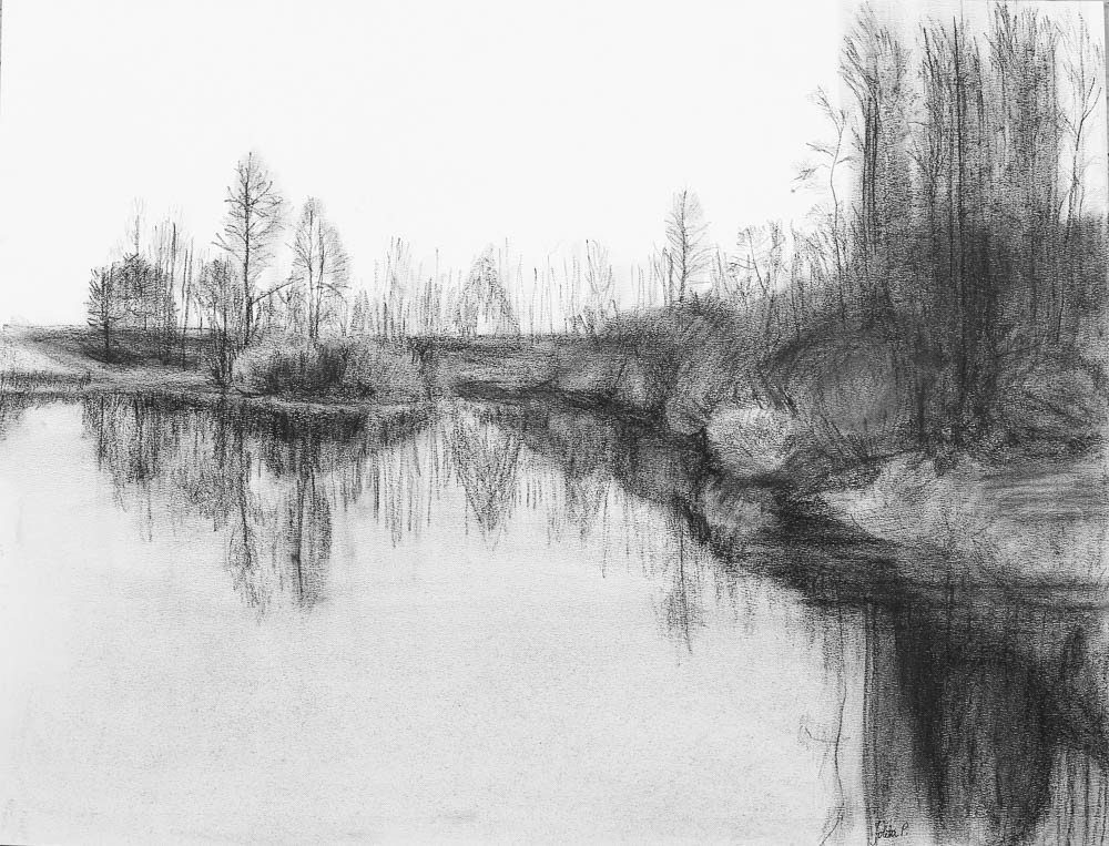 Forest 10