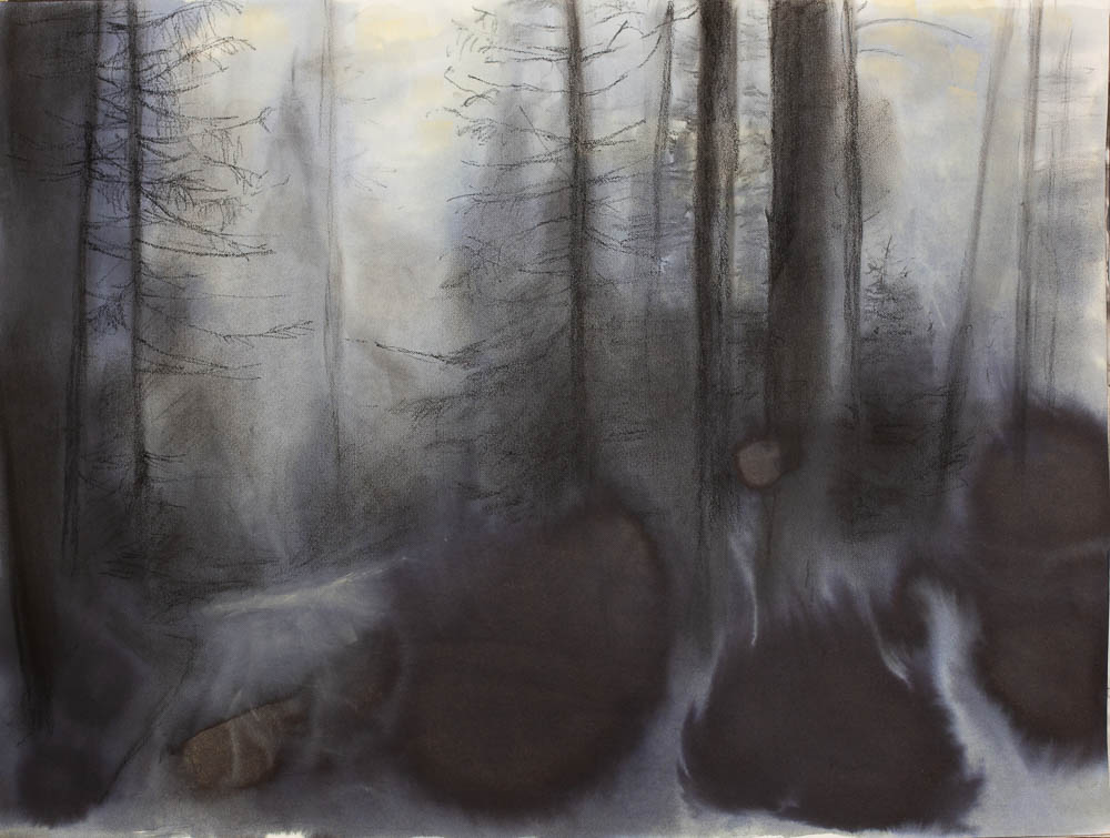 jolita_kimsa_65x50_flower10