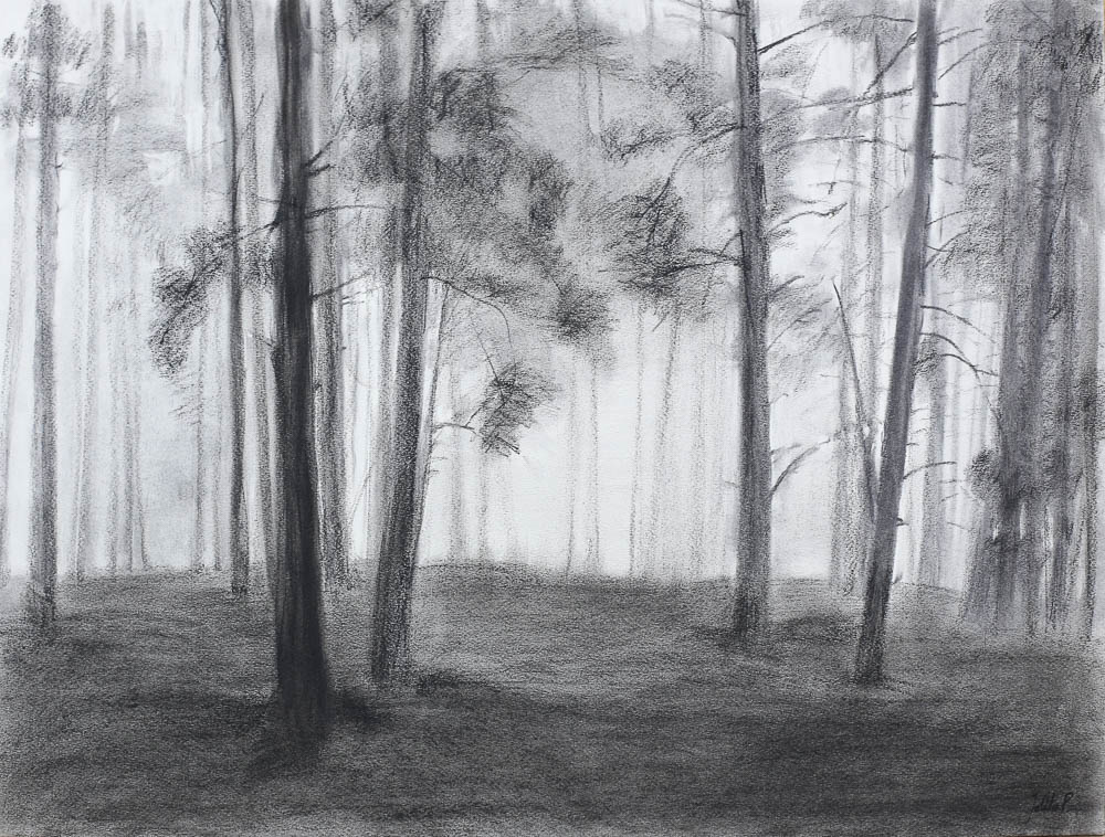 Forest 4