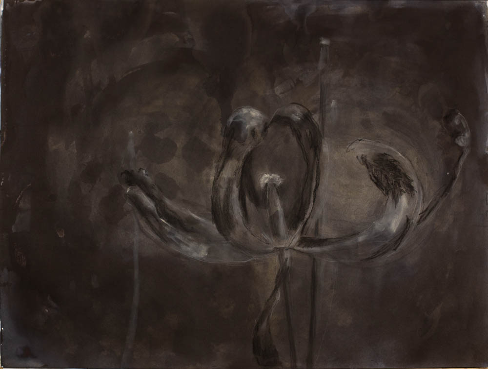 jolita_kimsa_65x50_flower10