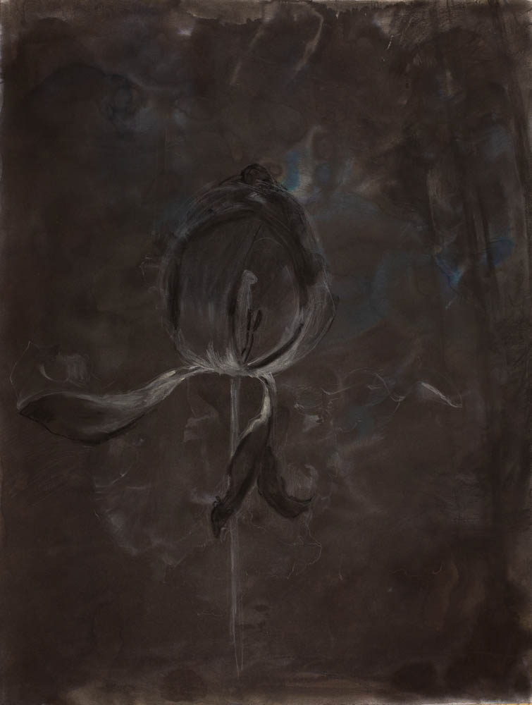 jolita_kimsa_65x50_flower2