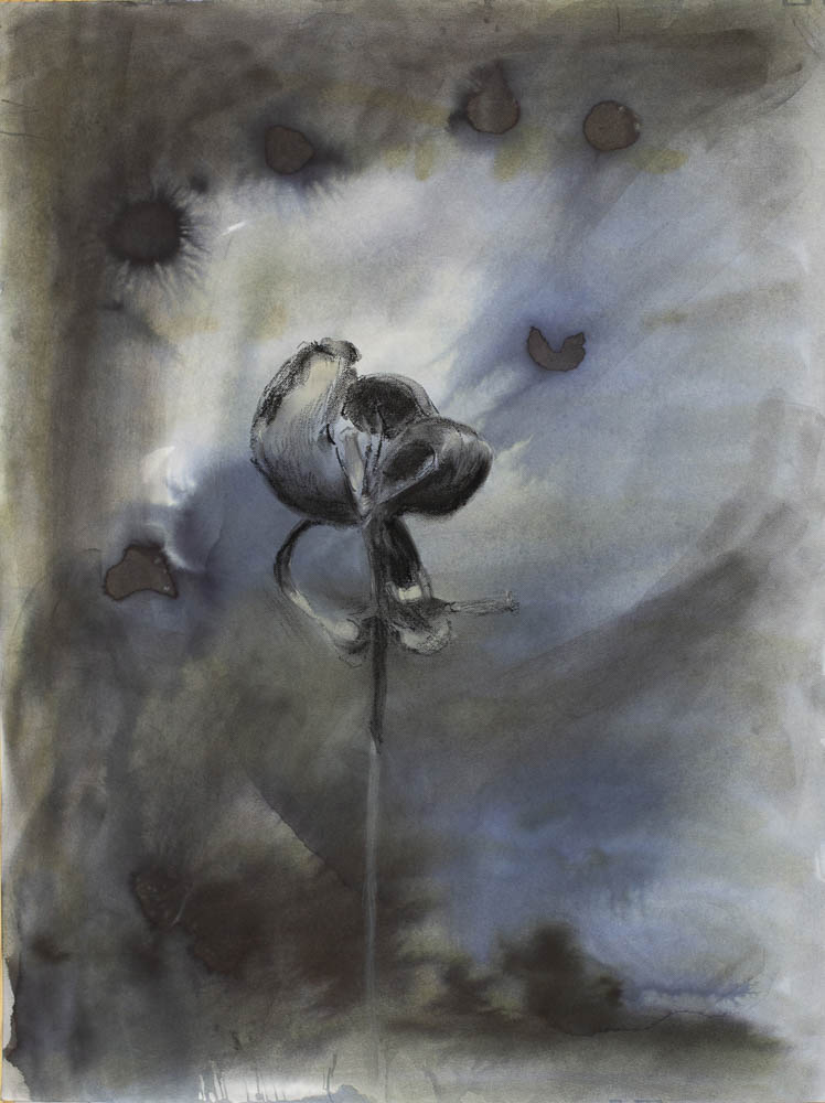 jolita_kimsa_65x50_flower8