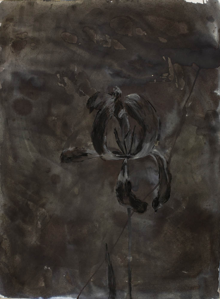 jolita_kimsa_65x50_flower9