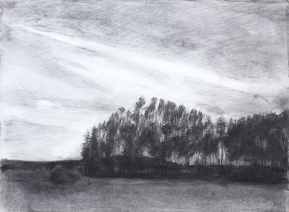 Forest 13